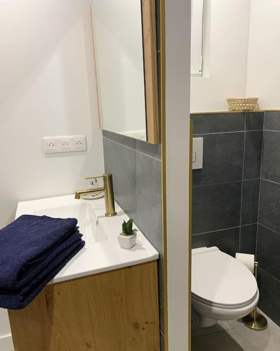 Marchiennes-Ville Maison Centre Ville - 2 Chambres - Sauna En Option מראה חיצוני תמונה